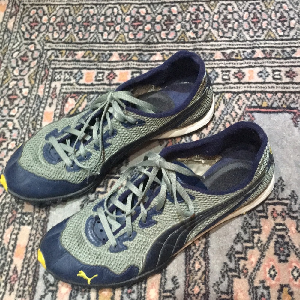 Pumas